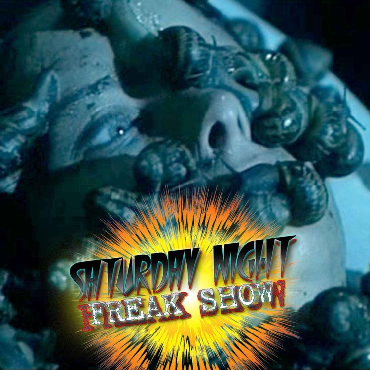 cover art for Aenigma (1987)