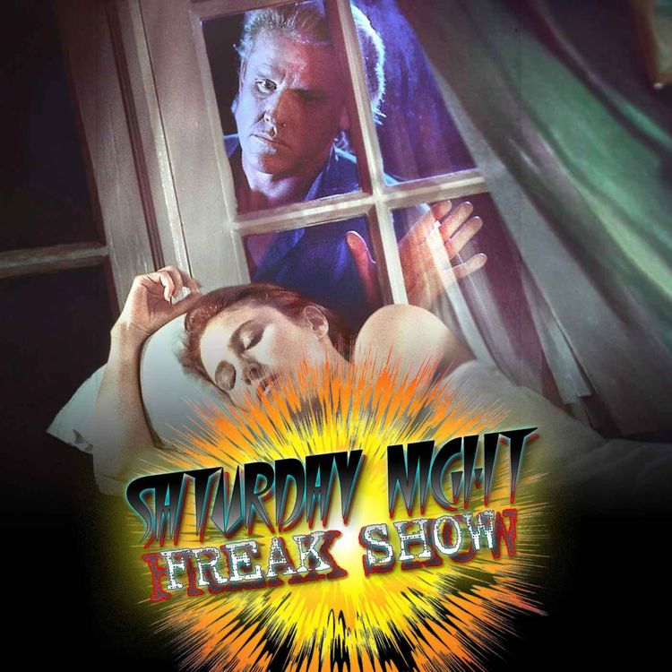 cover art for Hider in the House (1989)