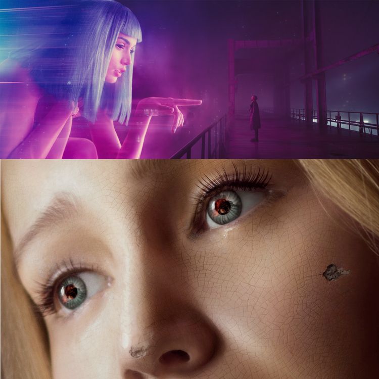 cover art for 13 Blade Runner 2049 e mother!