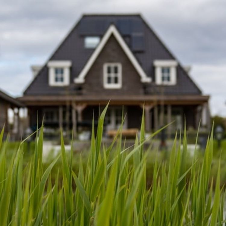 cover art for 15. Live In Nannies