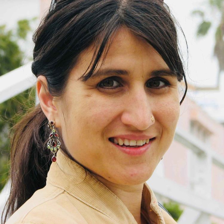 cover art for The Cross‑Cultural Parenting Playbook