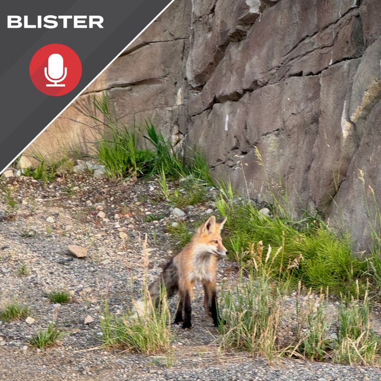 cover art for 10 Quick Things: Blister Summit Location & Dates; Our Winter Buyer's Guide, & More
