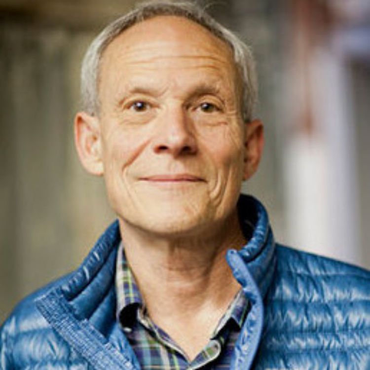 cover art for 039: Vincent Stanley, conversation 1: business success through environmental support