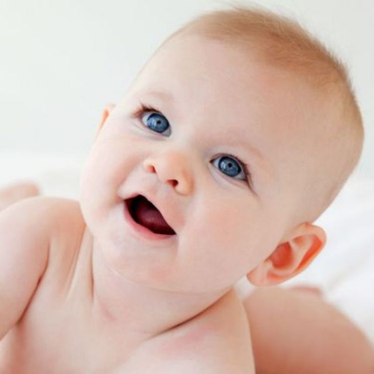 cover art for 178: What parenthood teaches us about environmental action