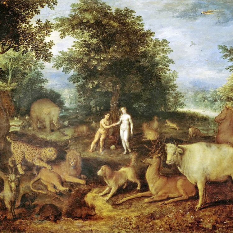 cover art for 199: Be Fruitful and Multiply: What Does It Mean? What Can It Mean?