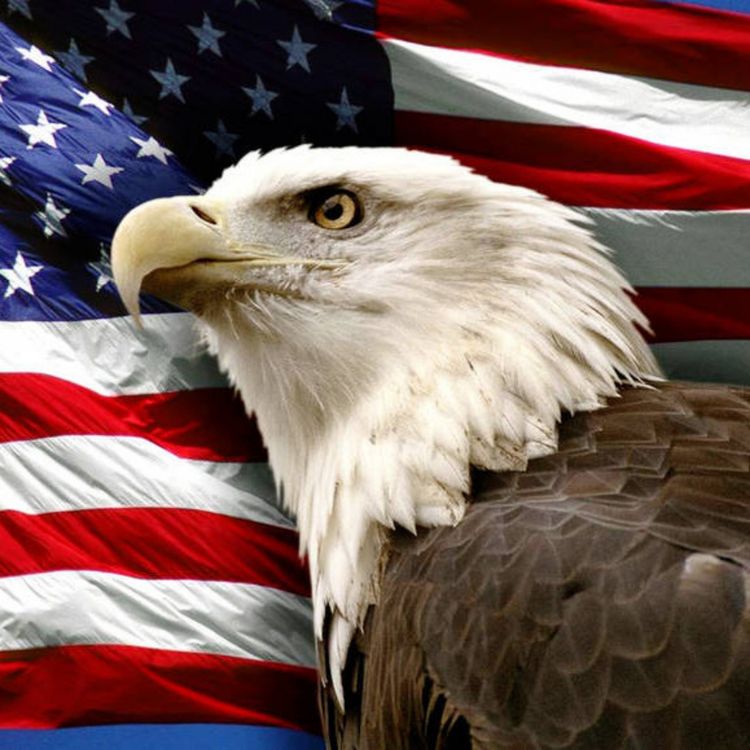 cover art for 205: Notes to a Future President