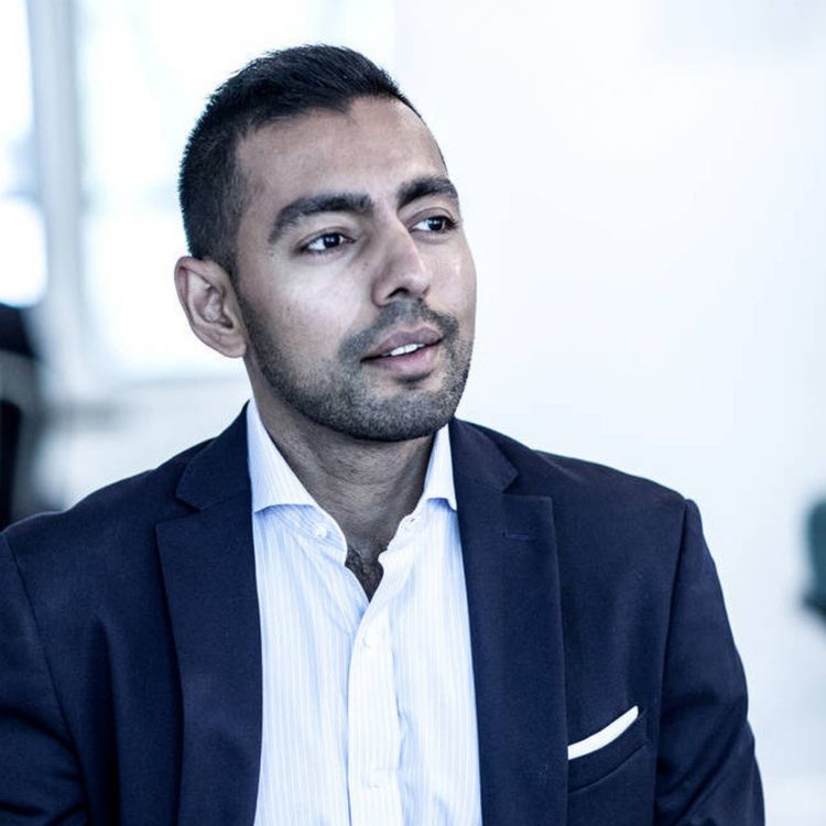 cover art for Ani Manian