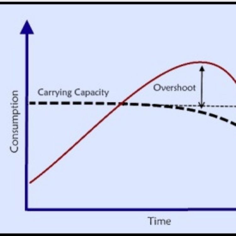 cover art for 210: How many children should I have?