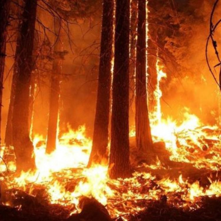 cover art for 218: To Those Who Say They Can't Stop Polluting