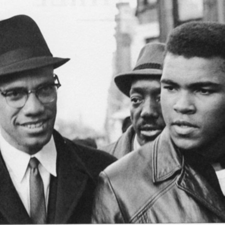 cover art for 260: Creating the Muhammad Ali of the Environment