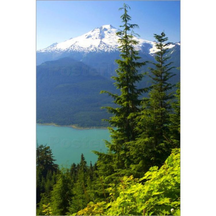 cover art for 304: How ecotourism can work