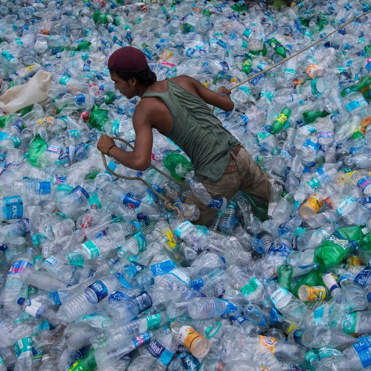 cover art for 353: I don't want to act on the environment