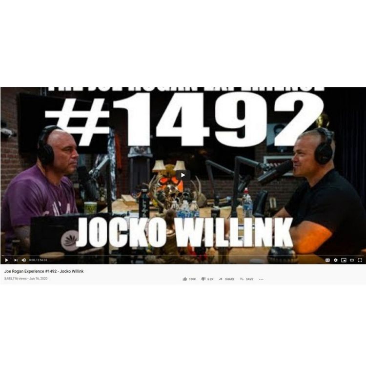 cover art for 366: The Cops, Jocko Willink, and Joe Rogan