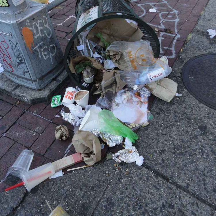 cover art for 518: Killing cities, gardens, and parks, New York's cruel "Open Restaurants" overreach