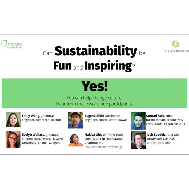 cover art for 689: Workshop results: Can Learning to Lead Sustainability be fun, inspiring, and effective? Yes!