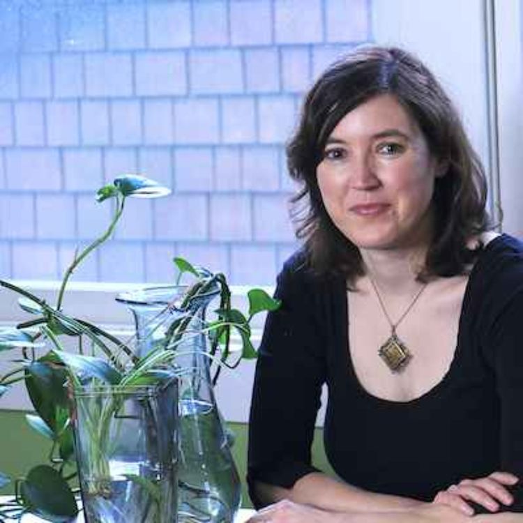 cover art for 710: Madeline Ostrander, part 2: Finding Refuge on a Changed Earth