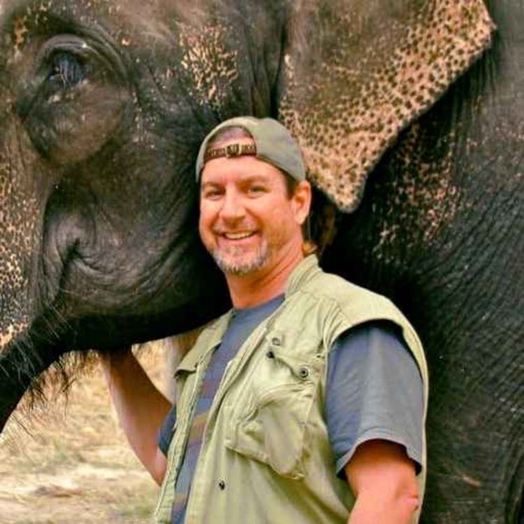 cover art for 833: Aaron Blaise: A Master Disney Director and Animator on Self Expression, Leadership, and Nature