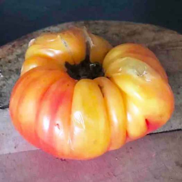 cover art for 834: Do Americans Know How to Prepare Food From Scratch?