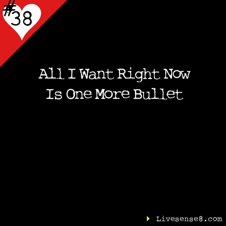 cover art for LS8: 38 All I Want Right Now Is One More Bullet