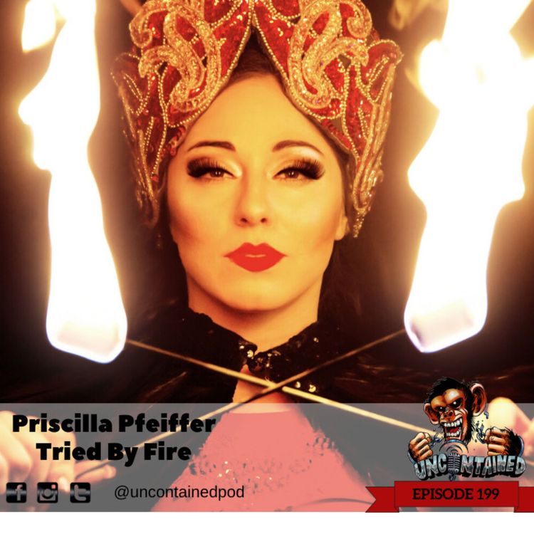 cover art for Episode 199: Priscilla Pfeiffer - Tried By Fire 