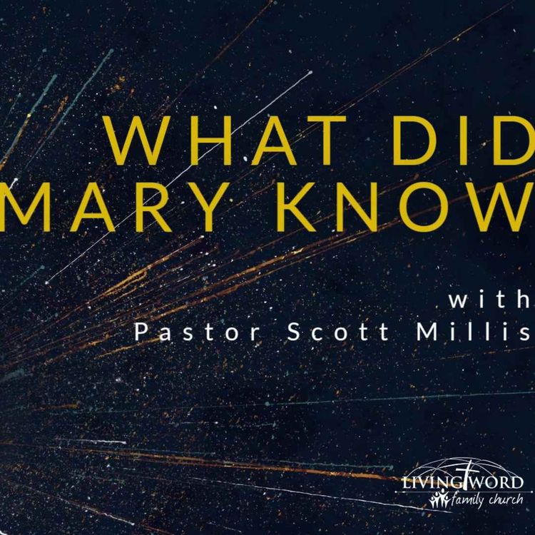 cover art for What Did Mary Know?