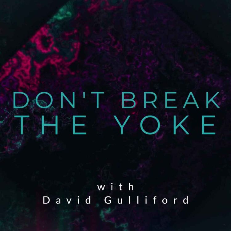 cover art for Don’t Break the Yoke