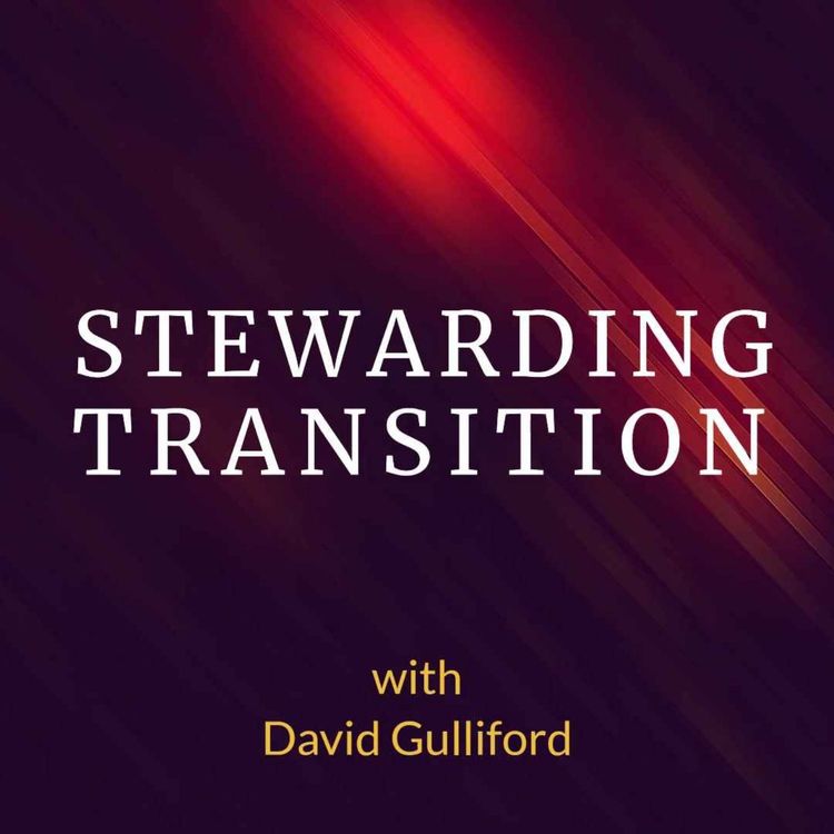 cover art for Stewarding Transition