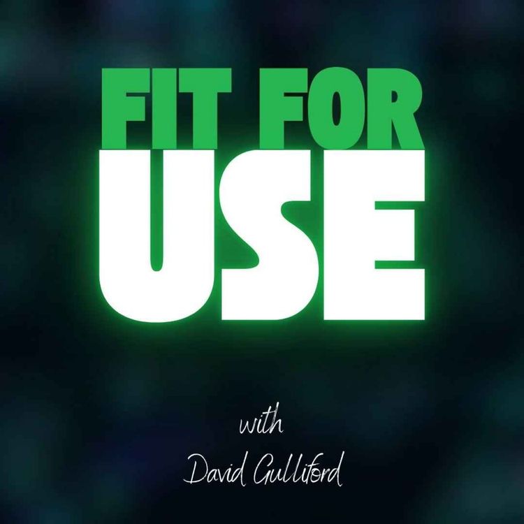 cover art for Fit For Use