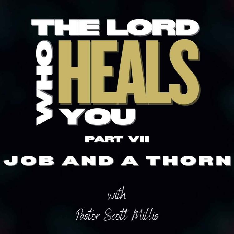 cover art for The Lord Who Heals You part 7: Job and a Thorn