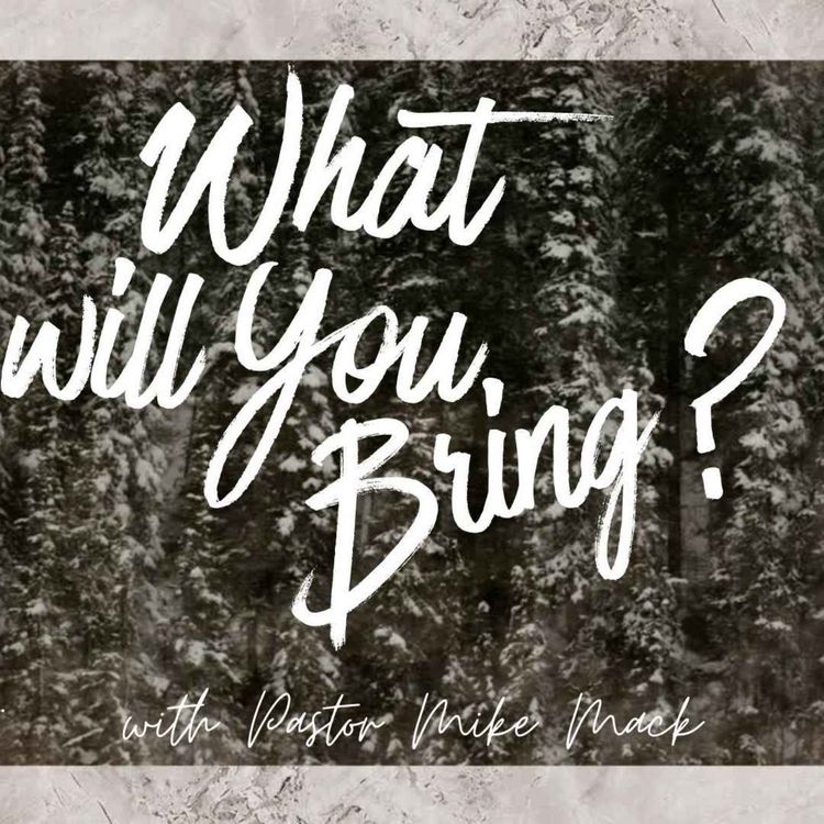 cover art for What Will You Bring