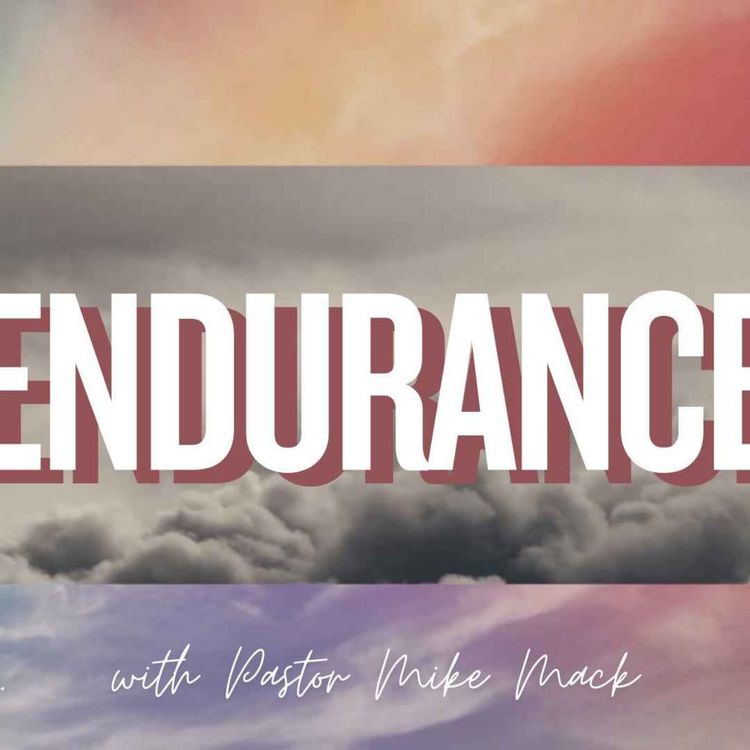 cover art for Endurance