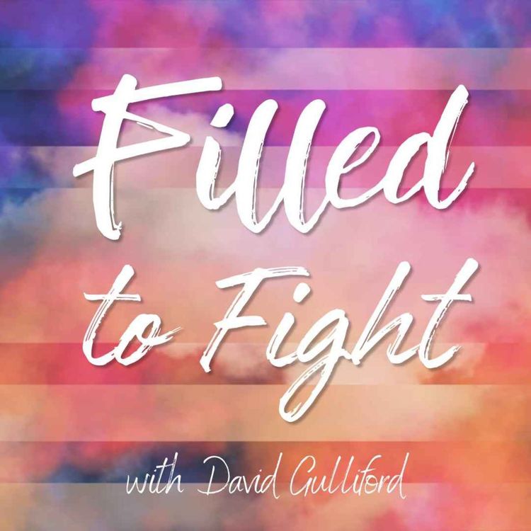 cover art for Filled to Fight