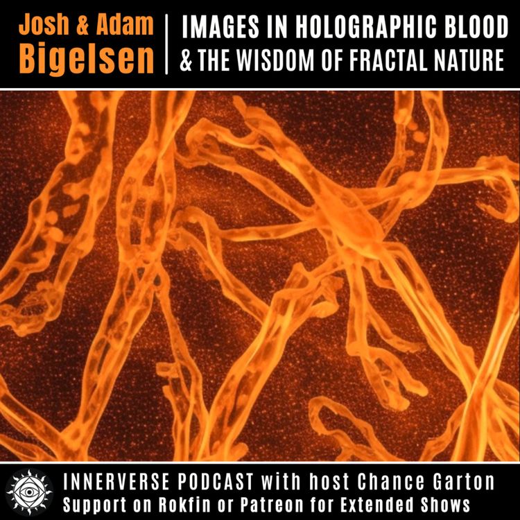 cover art for Josh & Adam Bigelsen | Images In Holographic Blood & the Wisdom of Fractal Nature