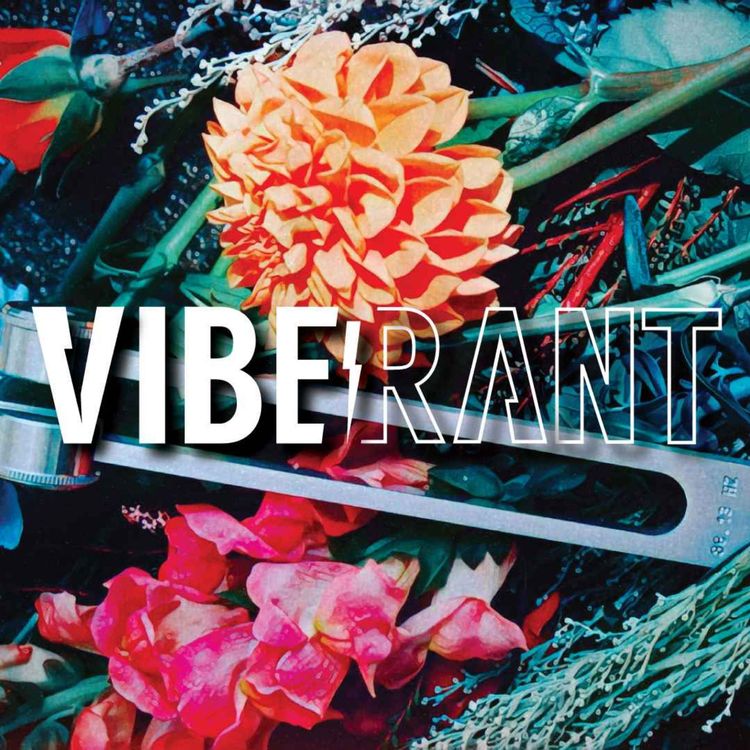 cover art for Tippecanoe Tuning Q & A with Chance & Herbalist Kyle Denton | Vibe Rant 118