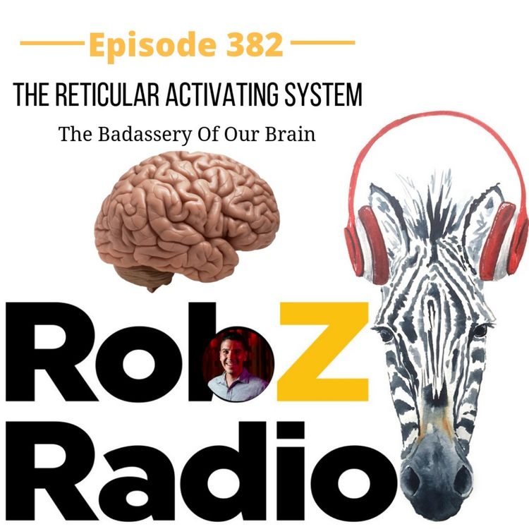 cover art for 382 The Reticular Activating System & the badassery of our Brain
