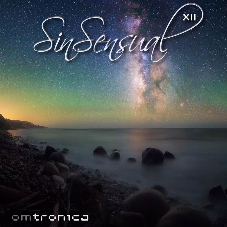 cover art for SinSensual XII