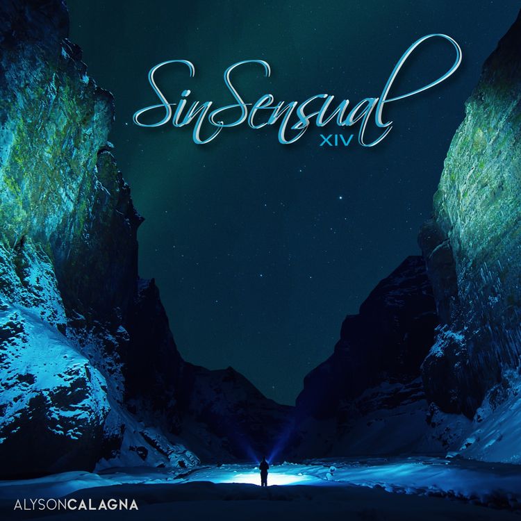 cover art for SinSensual XIV 