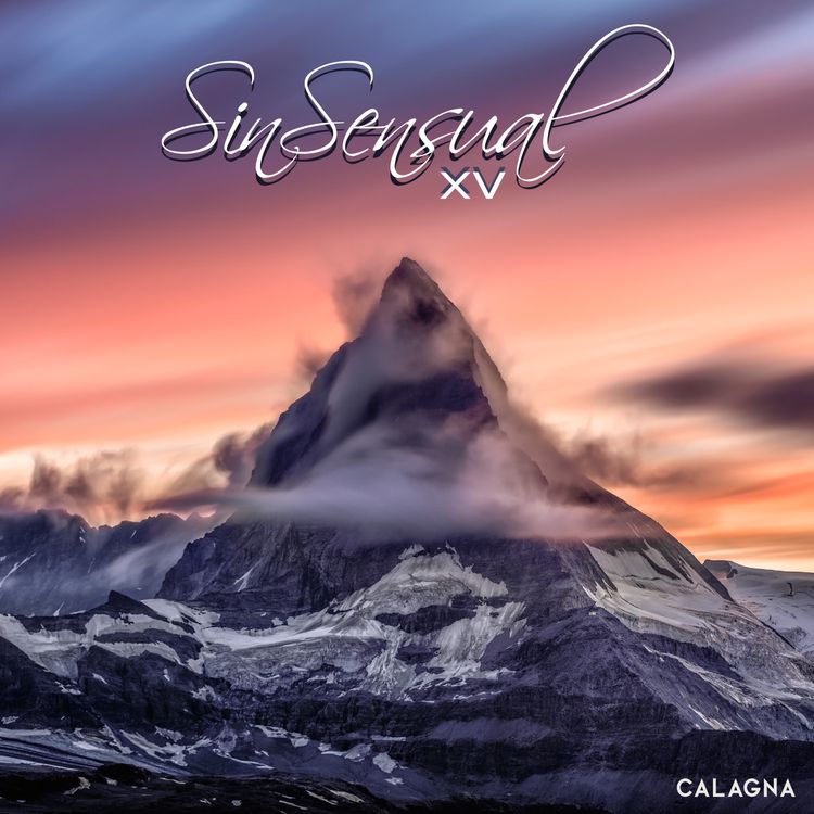 cover art for SinSensual XV