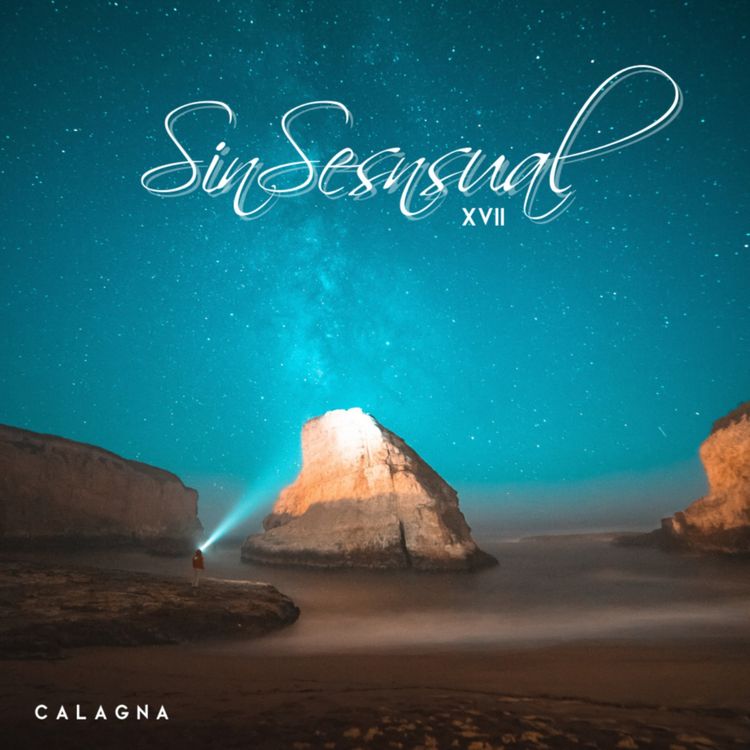 cover art for SinSensual XVII