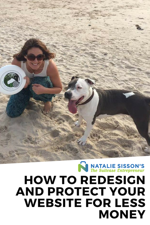 cover art for [291] How To Redesign and Protect Your Website For Less Money