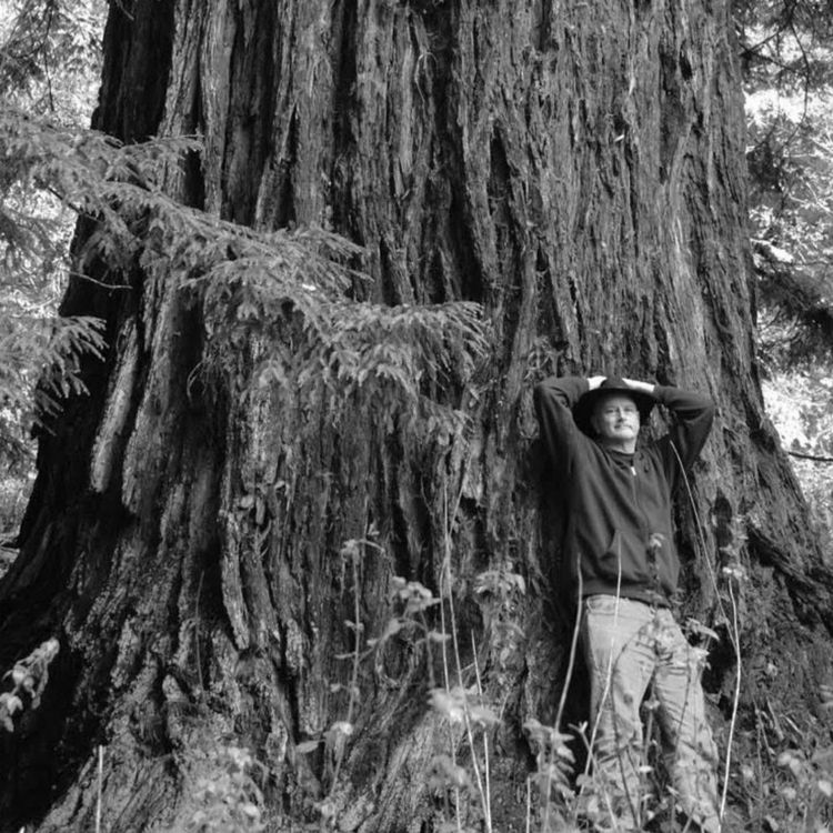 cover art for Steve Saroff tells the story of a drifting runaway who walked thousands of miles across America.