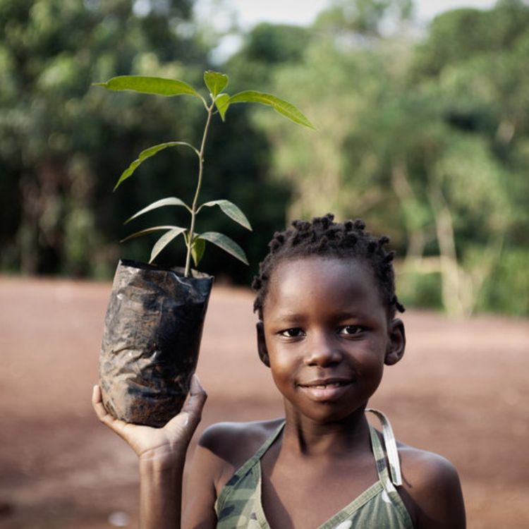 cover art for Planting trees in Africa with a focus on hunter-gathers & elephant conservation.