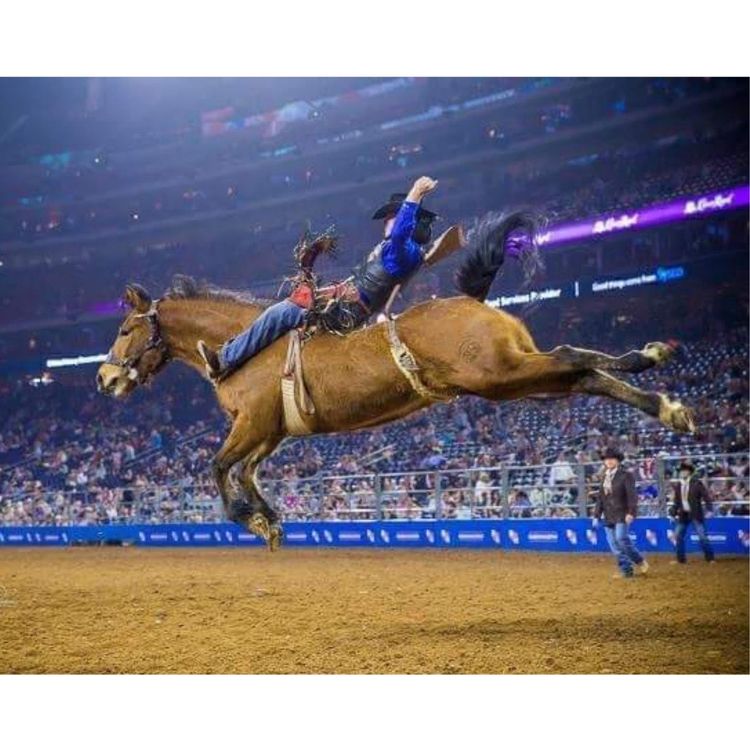 cover art for PRCA Pro Rodeo Bareback Champion: Blade Elliot