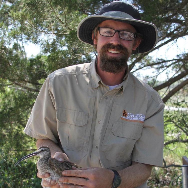 cover art for Ornithology is the Scientific Study of Birds.