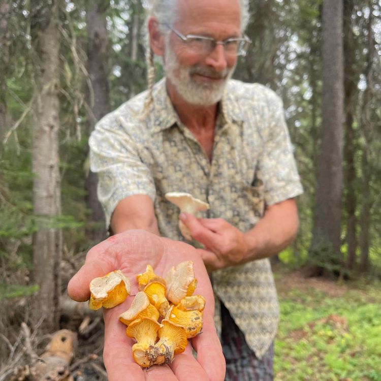 cover art for Foraging for Mushrooms with "The Fungal Boogieman"