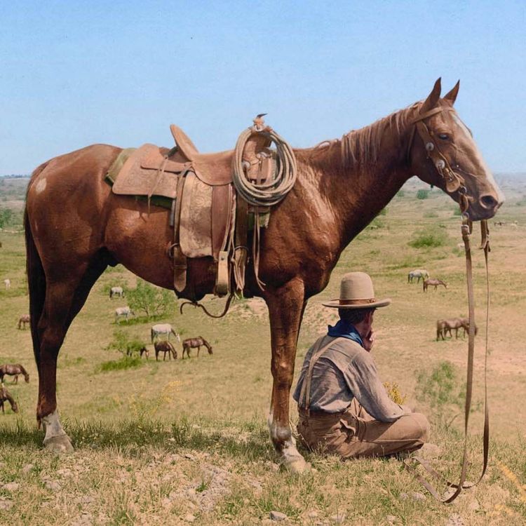 cover art for Old Montana Cowboy Storytelling