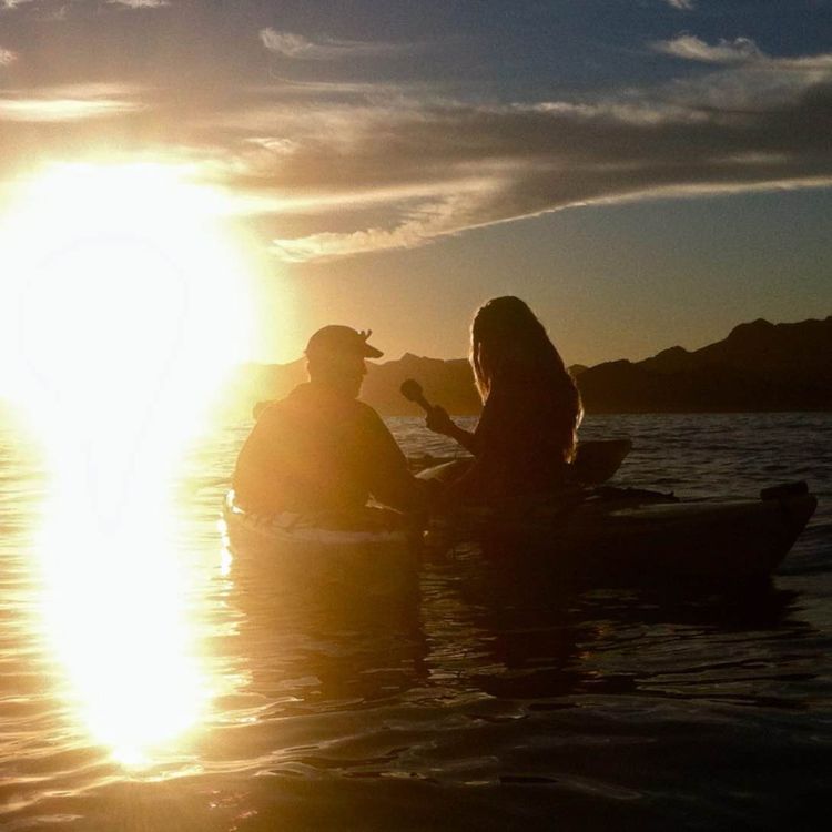 cover art for Moving Forward by Looking Back