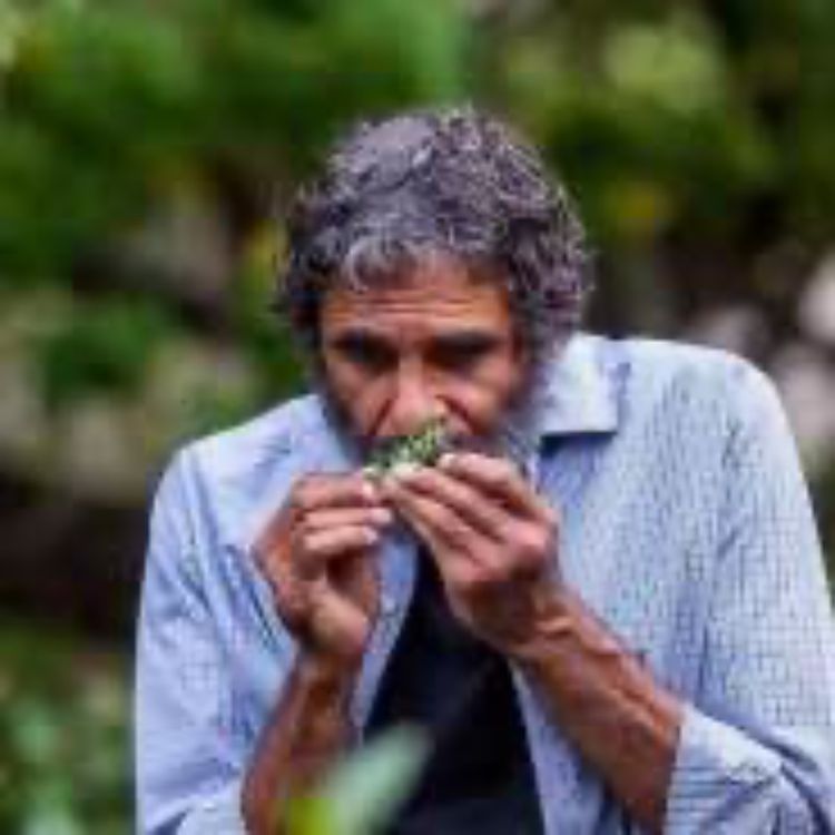 cover art for Cultural Lore of the Gubbi Gubbi tribe in eastern Australia.