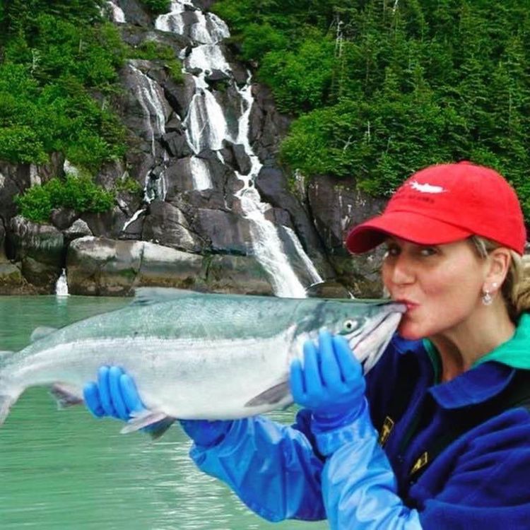 cover art for Salmon State: Alaska