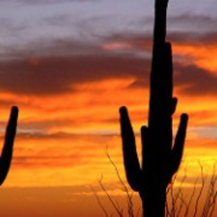 cover art for Suns Broadcaster Jon Bloom joins to break down what we learned about the 2019-20 Phoenix Suns